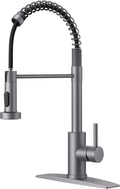 FORIOUS Kitchen Faucet with Pull Down Sprayer - Large Stainless Steel