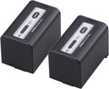 VW-VBD58 Replacement Batteries and AC/DC Charger - Long Life Power