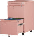 2 Drawer File Cabinet with Wheels for Letter/Legal Files - Lockable