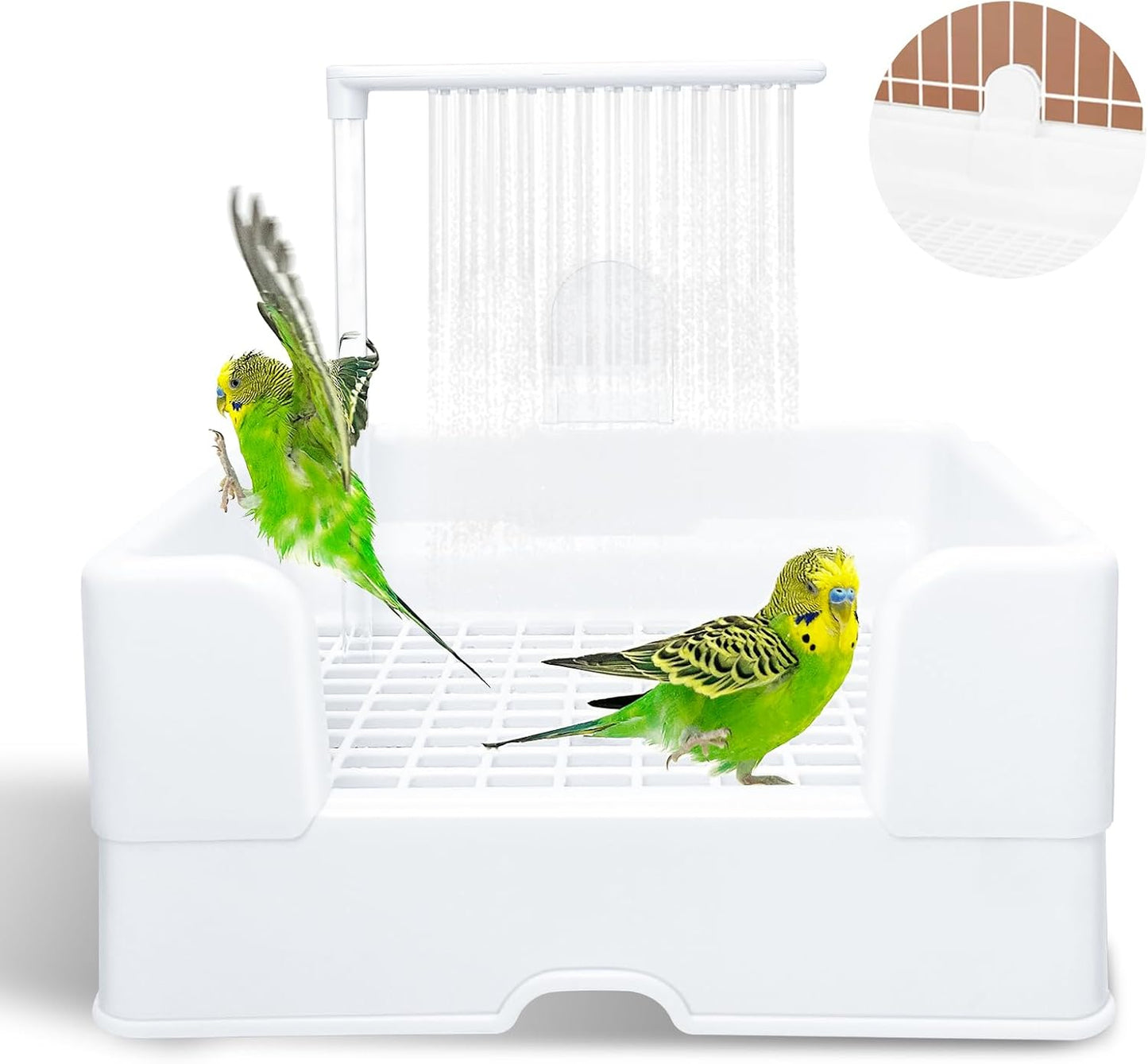 Automatic Bird Shower for Happy Birds