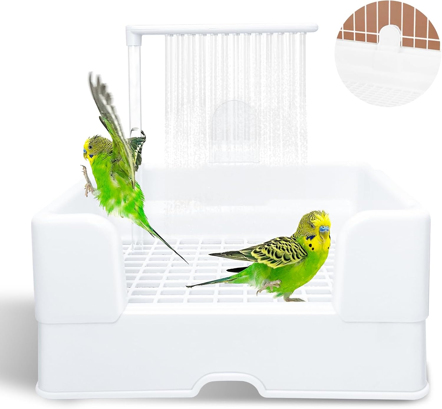 Automatic Bird Shower for Happy Birds