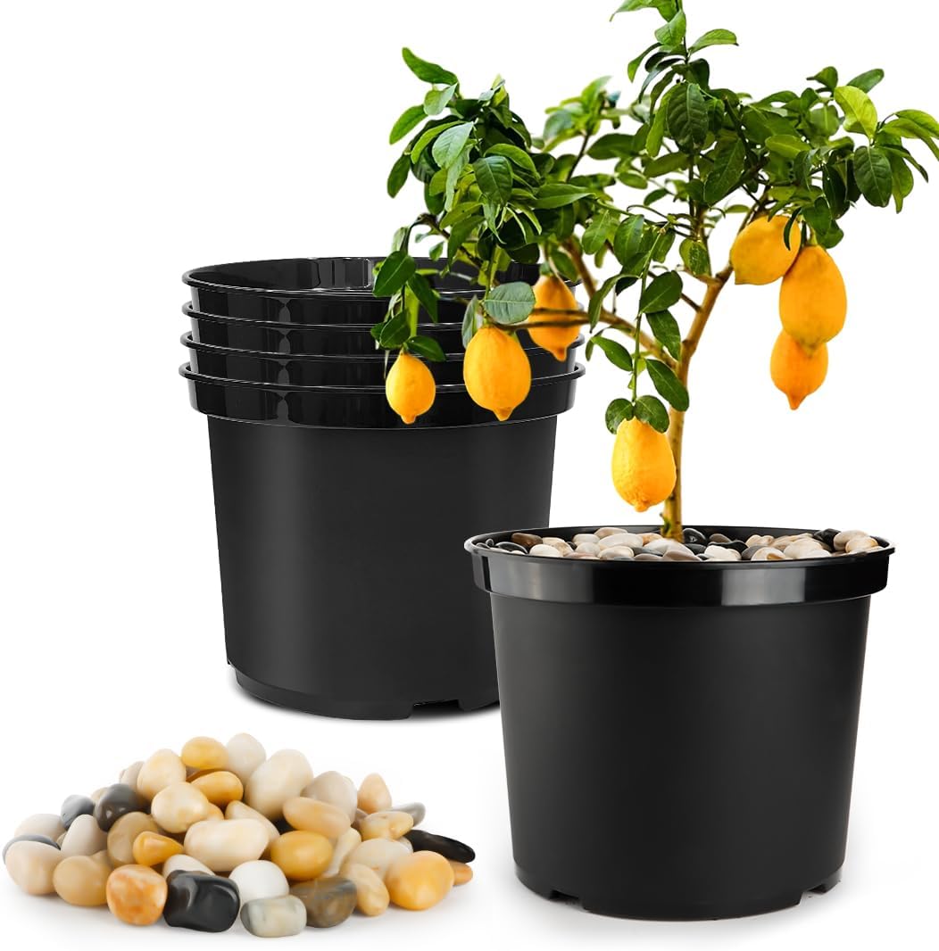 5 Gallon Pots with 10lbs Rocks for Gardening and Plant Care