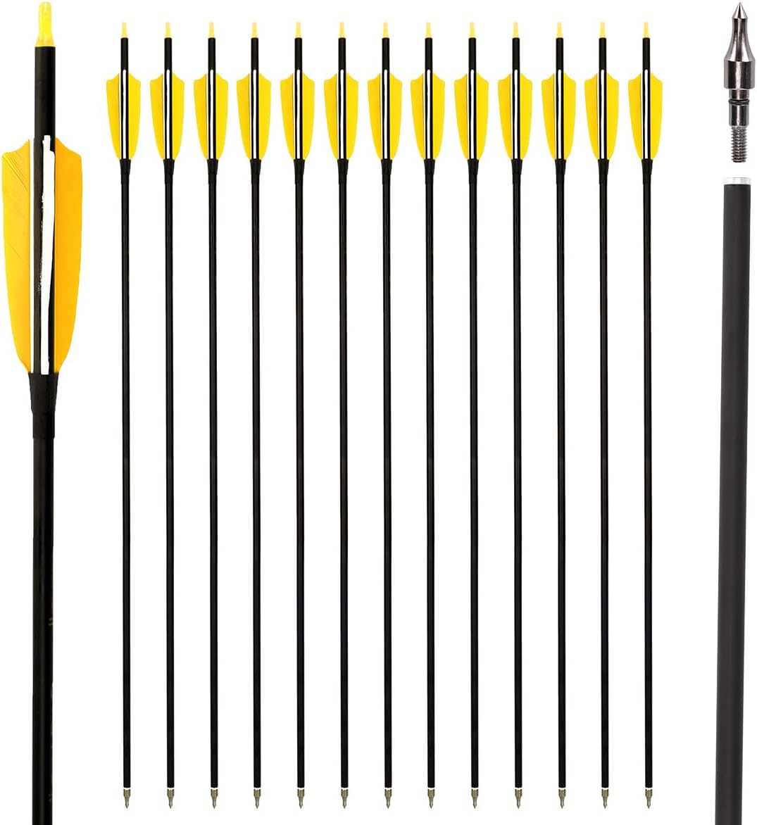 LWANO 30in Carbon Arrows for Target Practice and Hunting