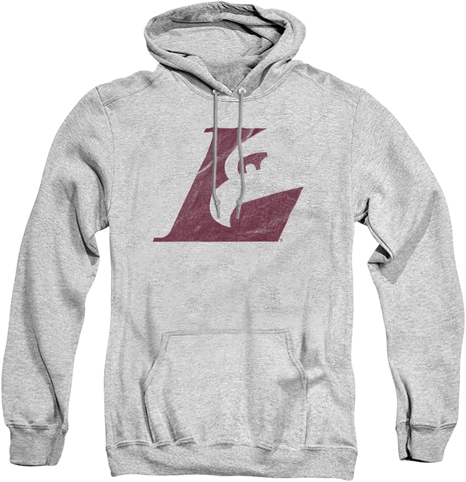 Official Collegiate Distressed Logo Pullover Hoodie Collection