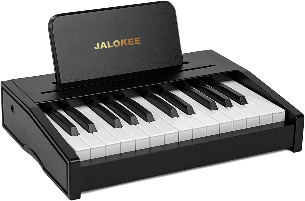 Kids Piano Keyboard for 3+ Years, Educational Music Toy