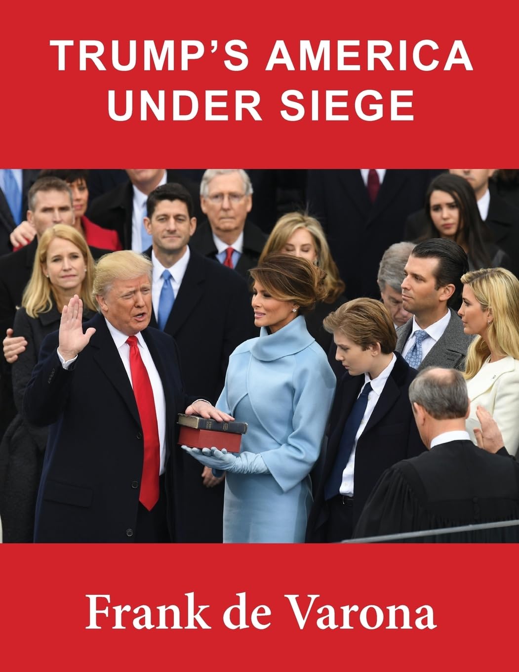 Trump's America Under Siege: A Colorful Perspective on Politics