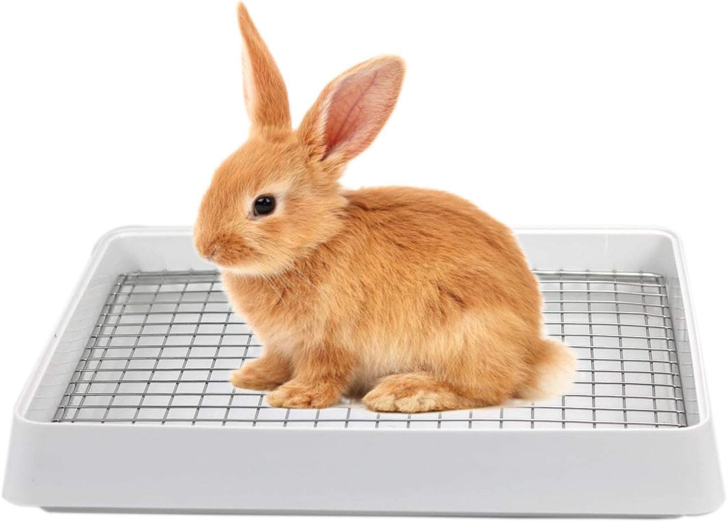 PODOO Rabbit Large Litter Box for Guinea Pig Training Pan