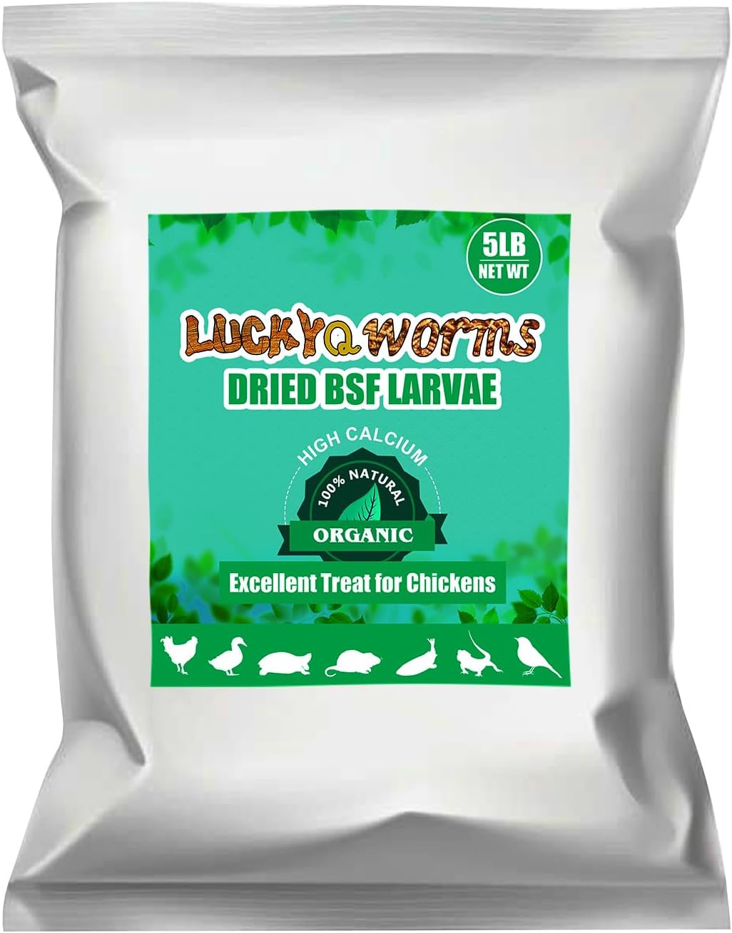 Dried Black Soldier Fly Larvae for Chickens, Ducks, and Birds