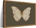 Vintage Butterfly Framed Wall Art - Moody Sage Moth Prints