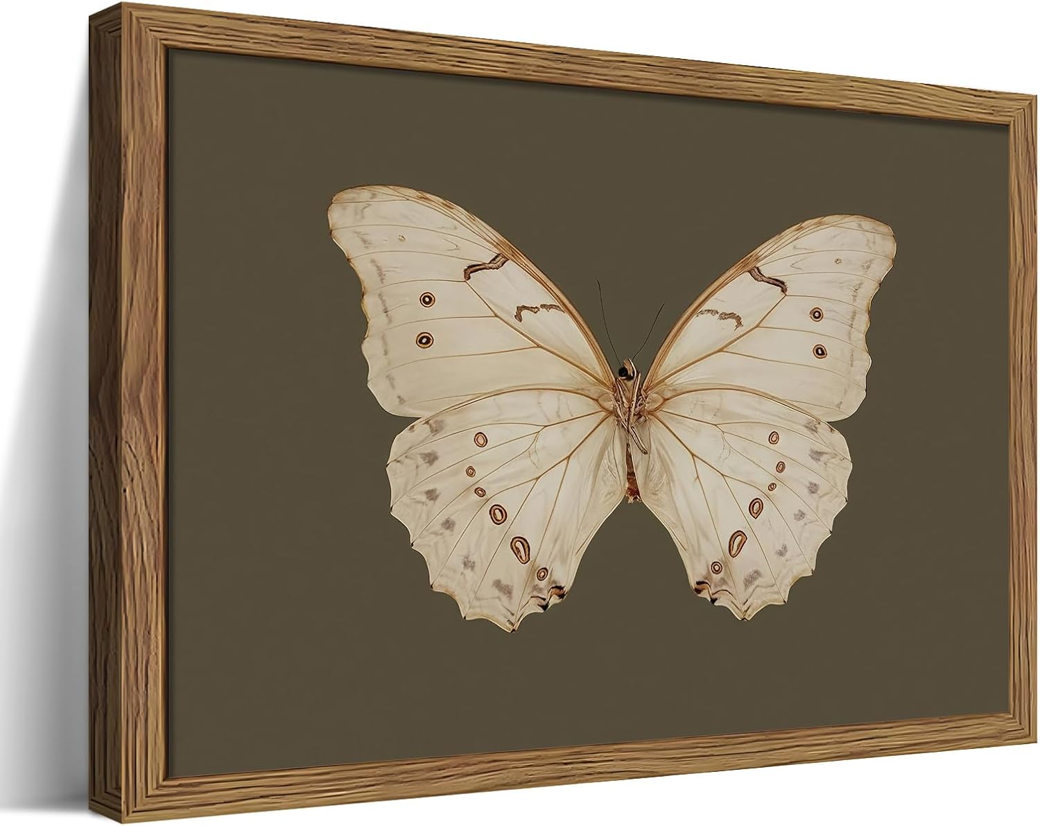 Vintage Butterfly Framed Wall Art for Elegant Home Decor
