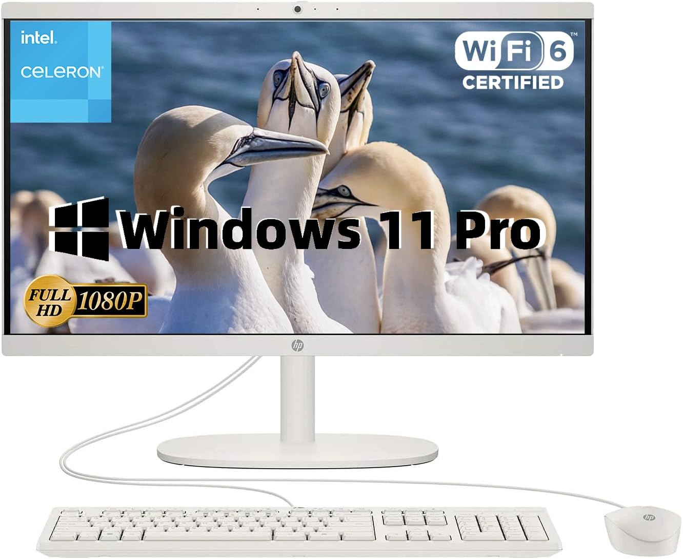 HP 21.5 All-in-One Desktop with FHD Display and Intel Celeron