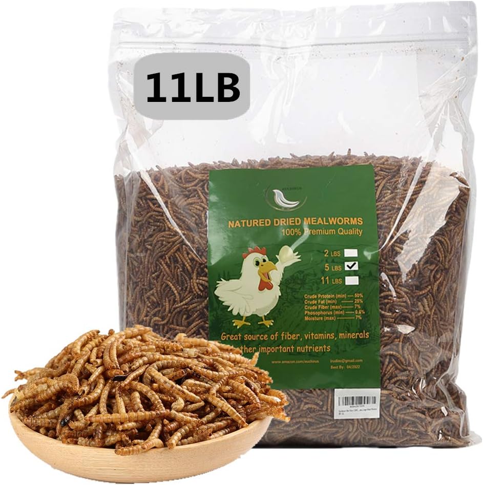 High-Protein Dried Mealworms for Chickens, Birds, and More