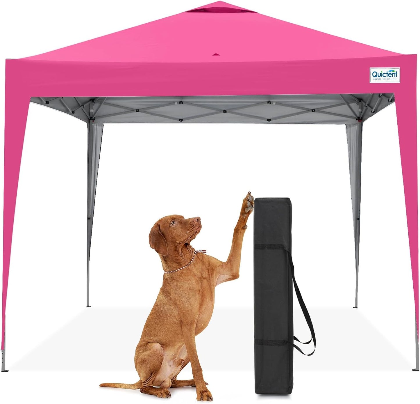 Quictent 10ftx10ft Pop Up Canopy Tent for Outdoor Events