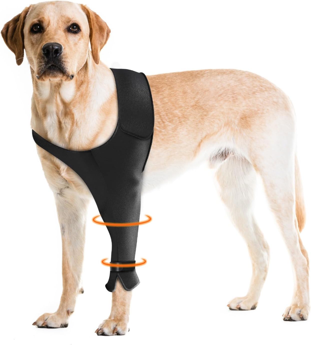 Dog Recovery Sleeve for Front Leg - Comfort & Protection