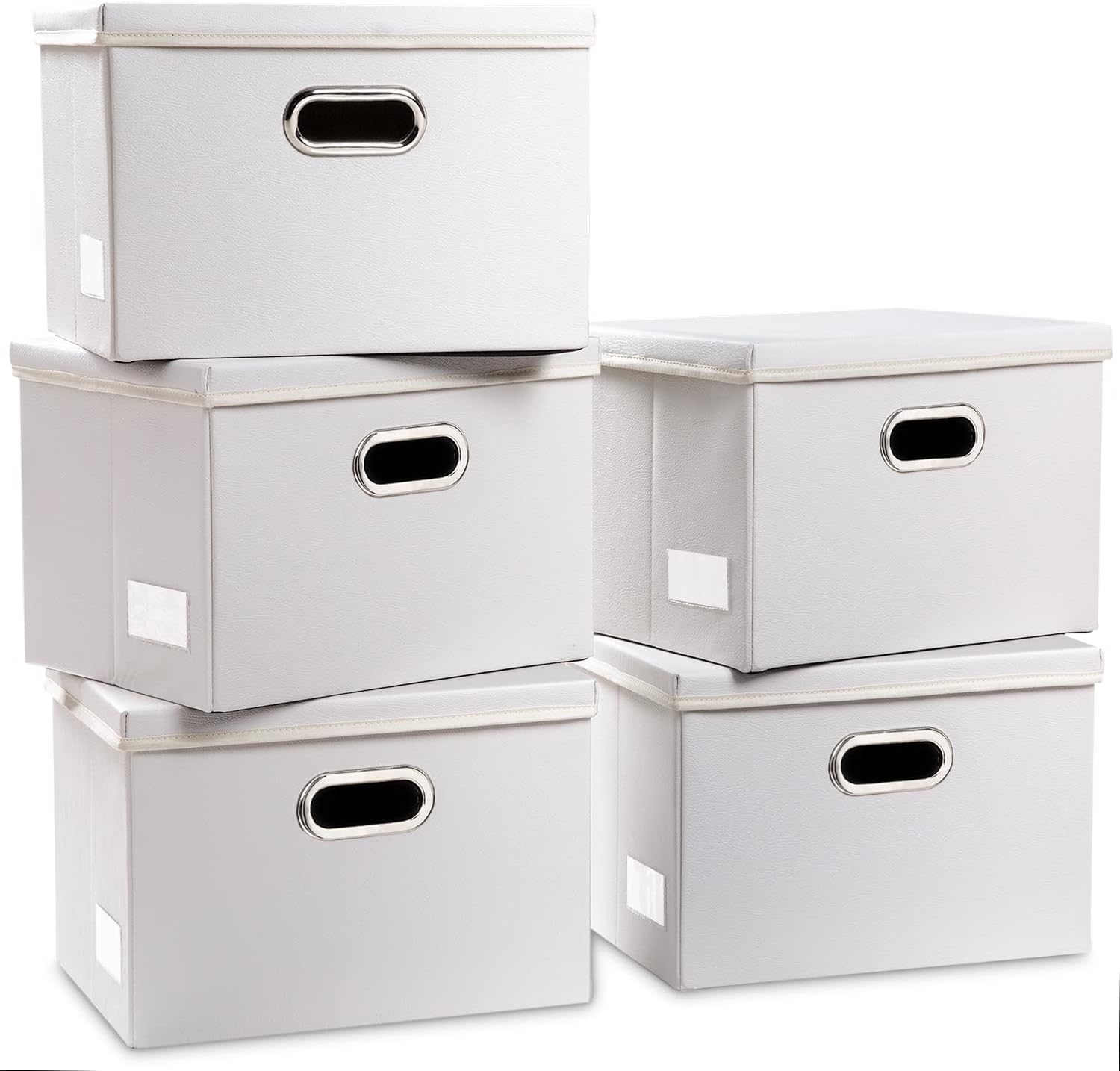 PRANDOM Foldable Storage Bins with Lids for Home Organization