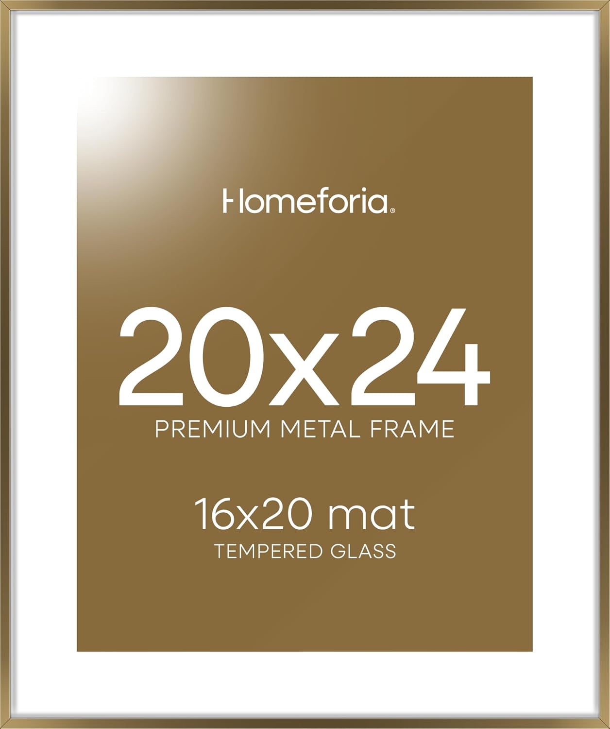 Homeforia 20x24 Picture Frame with Mat for 16x20 Photos