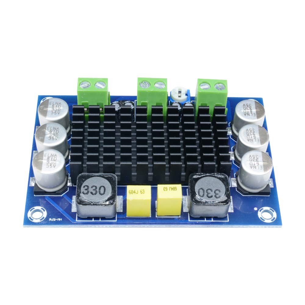 100W Mono Audio Amplifier Board - DC 12V/24V, TPA3116D2, Large Capacity