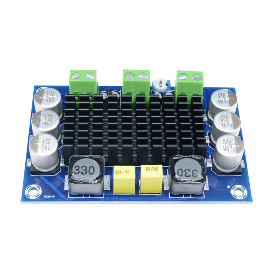 100W Mono Audio Amplifier Board - DC 12V/24V, TPA3116D2, Large Capacity