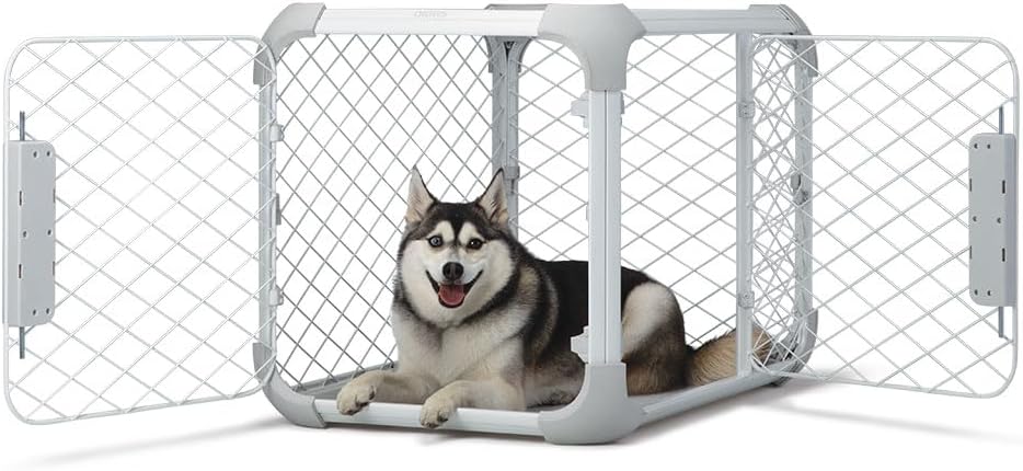 DIGGS Evolv Dog Crate - Stylish, Safe, and Modular Design