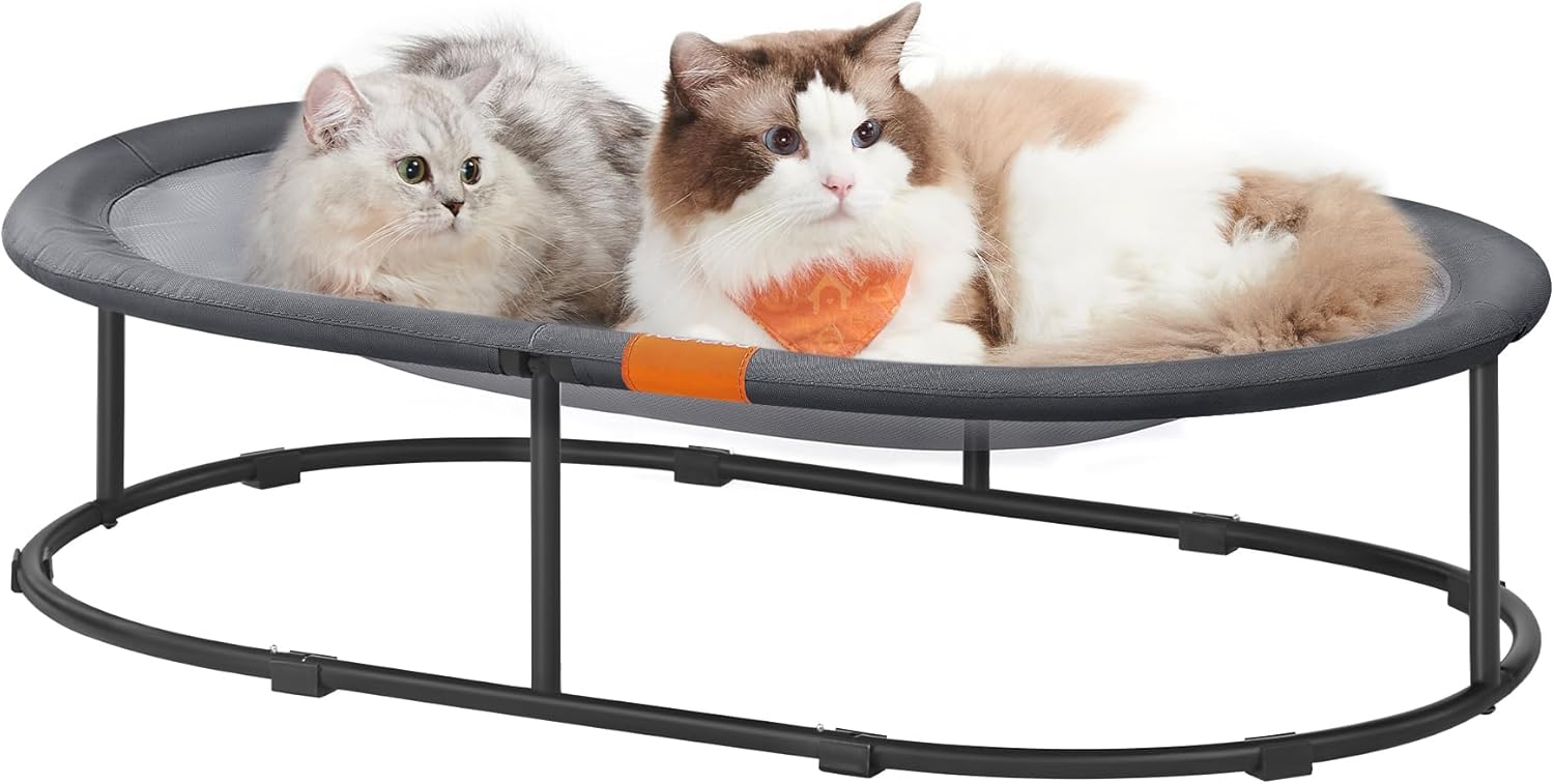 Feandrea Elevated Cat Bed for Multiple Cats, Oval, Gray