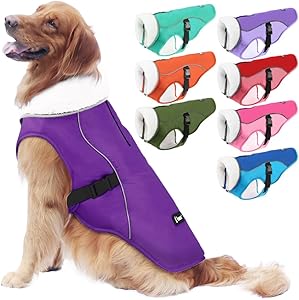 EMUST Dog Cold Weather Coats for Small to Large Dogs in Purple