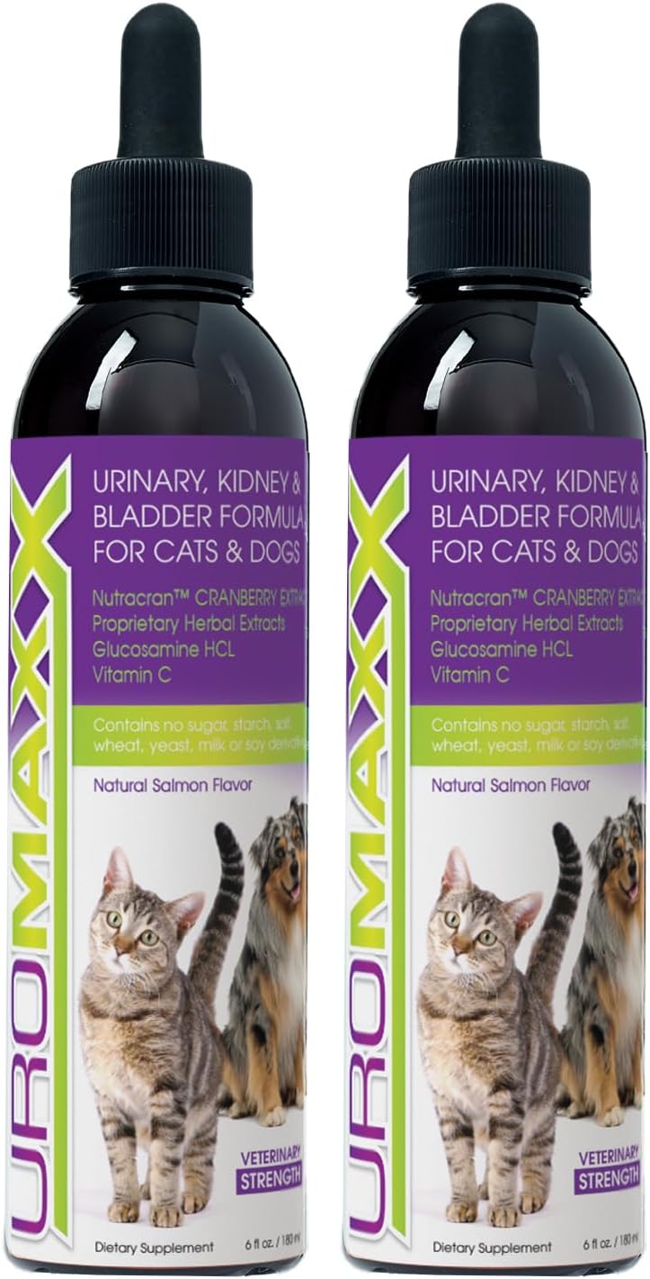 Cat & Dog Urinary Tract Treatment for Healthy Pets Care