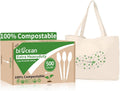 Extra Heavyduty Compostable Spoons 500 Count 6.7in - Sturdy No Plastic