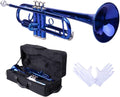 Brass Standard B Trumpet for Student Beginner - Durable Starter Kit