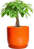 7 Inch Plant Pot Ceramic Planter with Saucer - Modern Orange