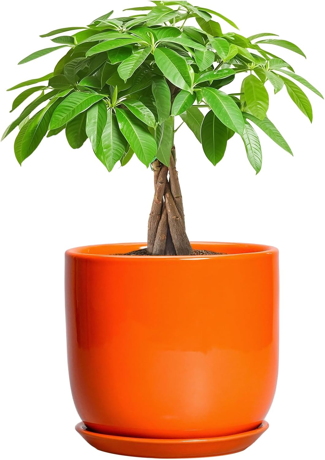 7 Inch Ceramic Plant Pot with Drainage Hole for Indoor Outdoor Use