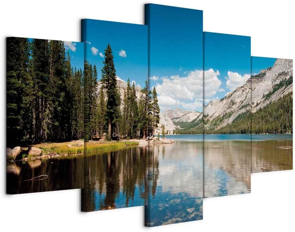 Acoustic Canvas Wall Art Nature Mountains for Soundproofing