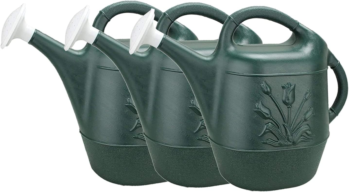 2 Gallon Watering Can for Indoor & Outdoor Plants - Hunter Green