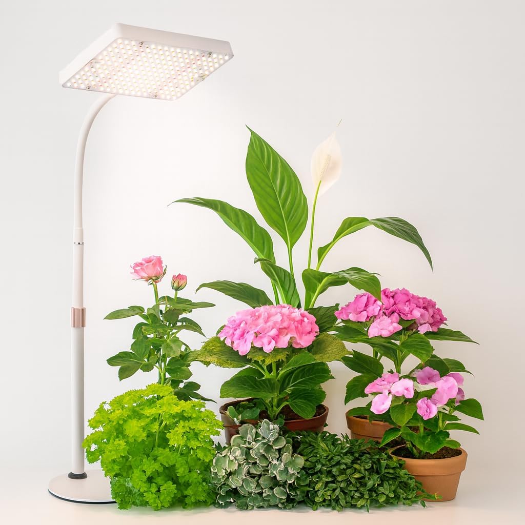 Tabletop Grow Light for Seed Starting with Adjustable Height