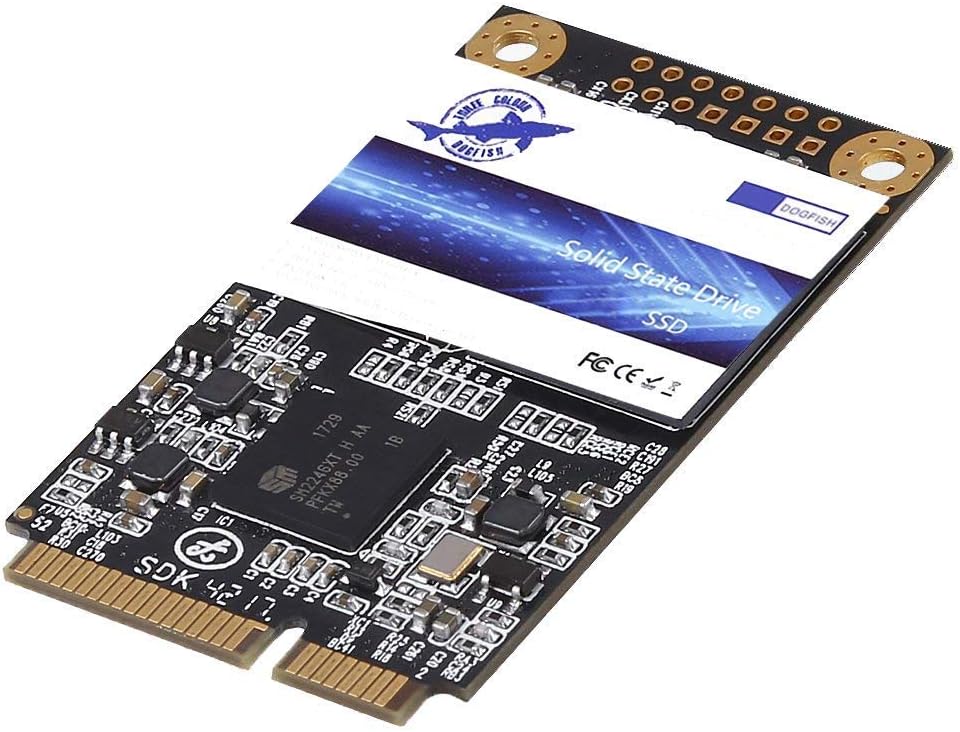 Dogfish Msata 256GB Internal Solid State Drive for Fast Performance