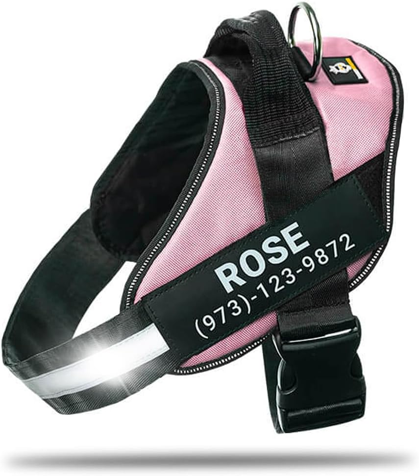 Personalized No-Pull Dog Harness for Safe and Comfortable Walks