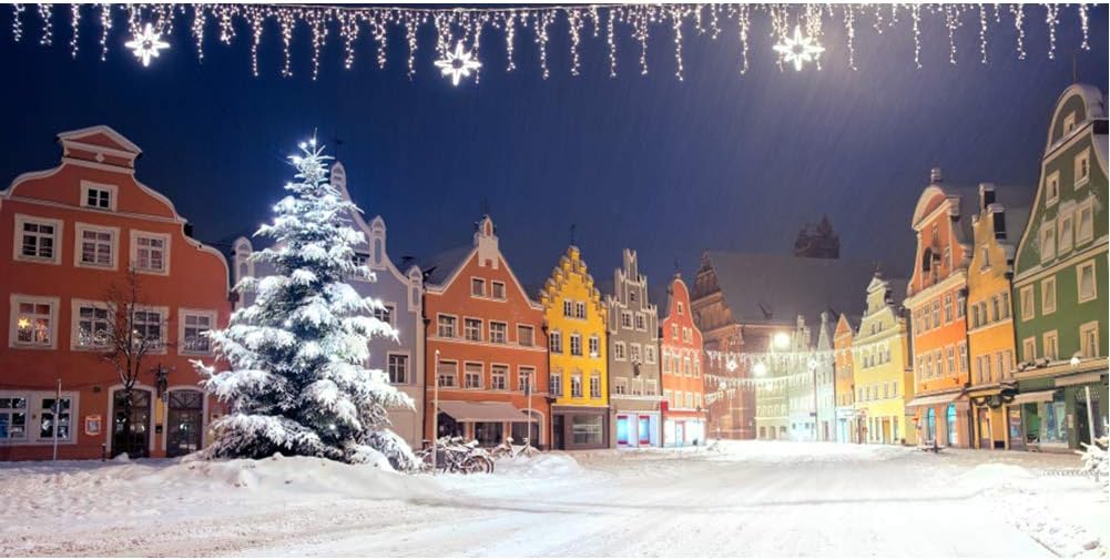 20x10ft Snowy Winter Backdrop for Christmas Village Photos