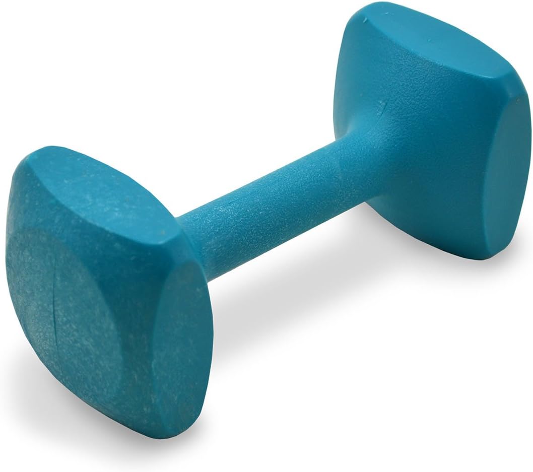 J&J Dog Supplies Obedience Retrieving Dumbbell for Training