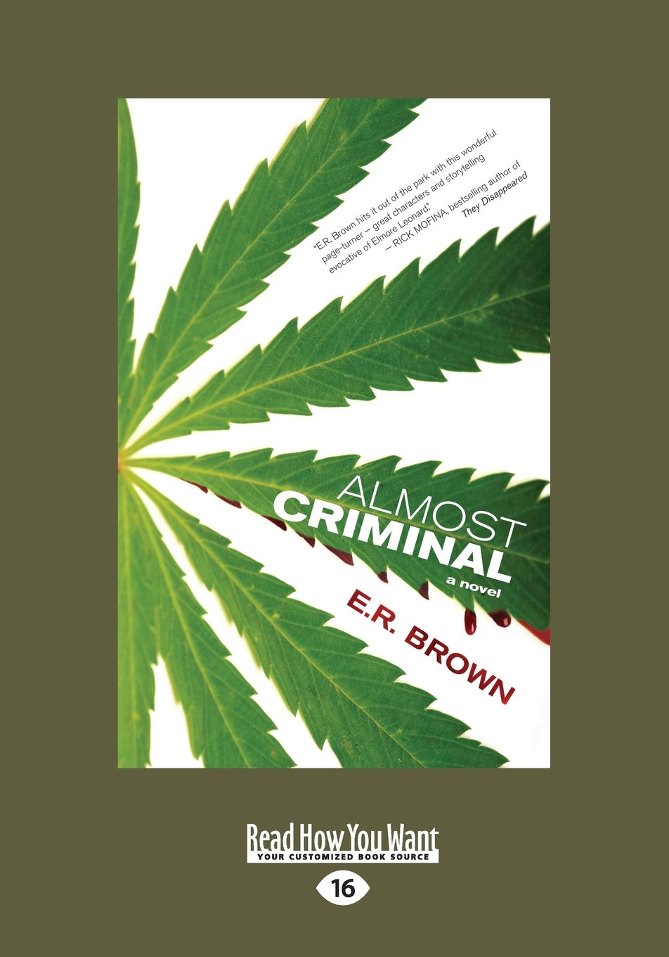 Almost Criminal by E. R. Brown - A Gripping Tale of Intrigue