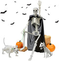 Askill 36 in Posable Skeleton Set for Halloween - Versatile Decor