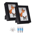 Insect Display Case 2 Pack - Wall Mount and Stand for Specimens