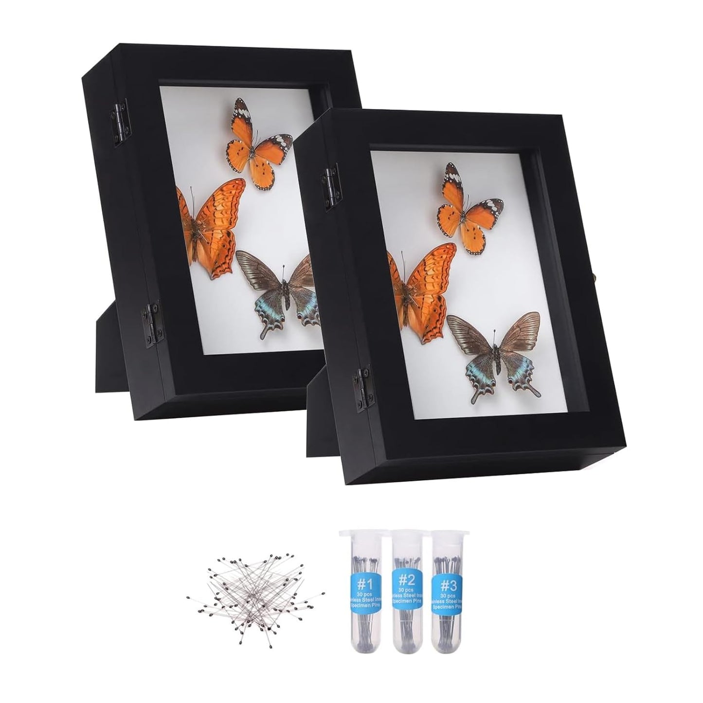 IHEIPYE Insect Display Case for Butterfly Specimen Collection
