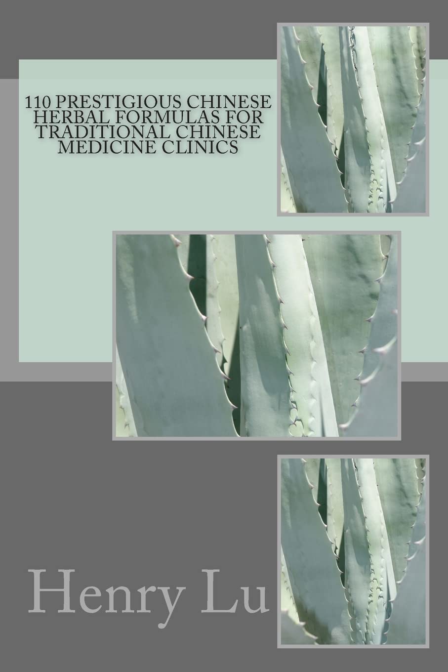 110 Renowned Chinese Herbal Remedies for TCM Clinics