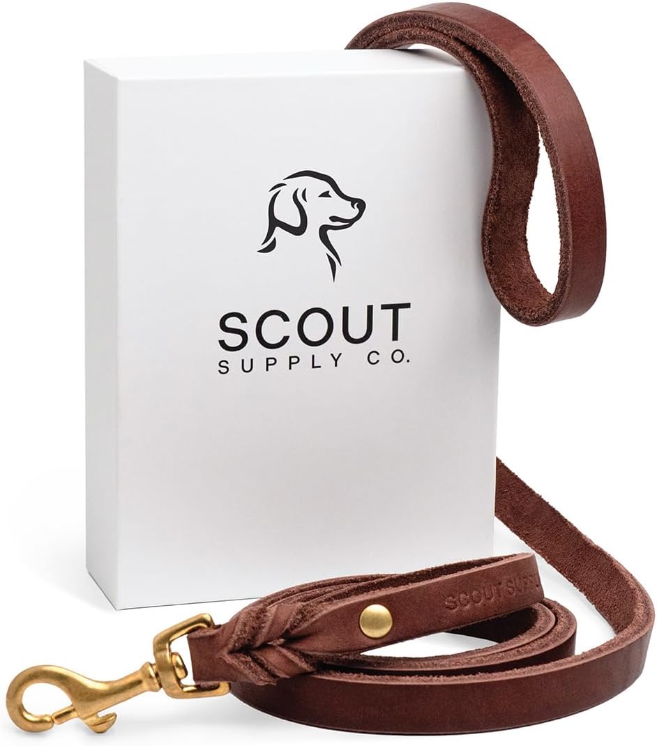 Scout Supply Classic Leather Dog Leash for Stylish Walks