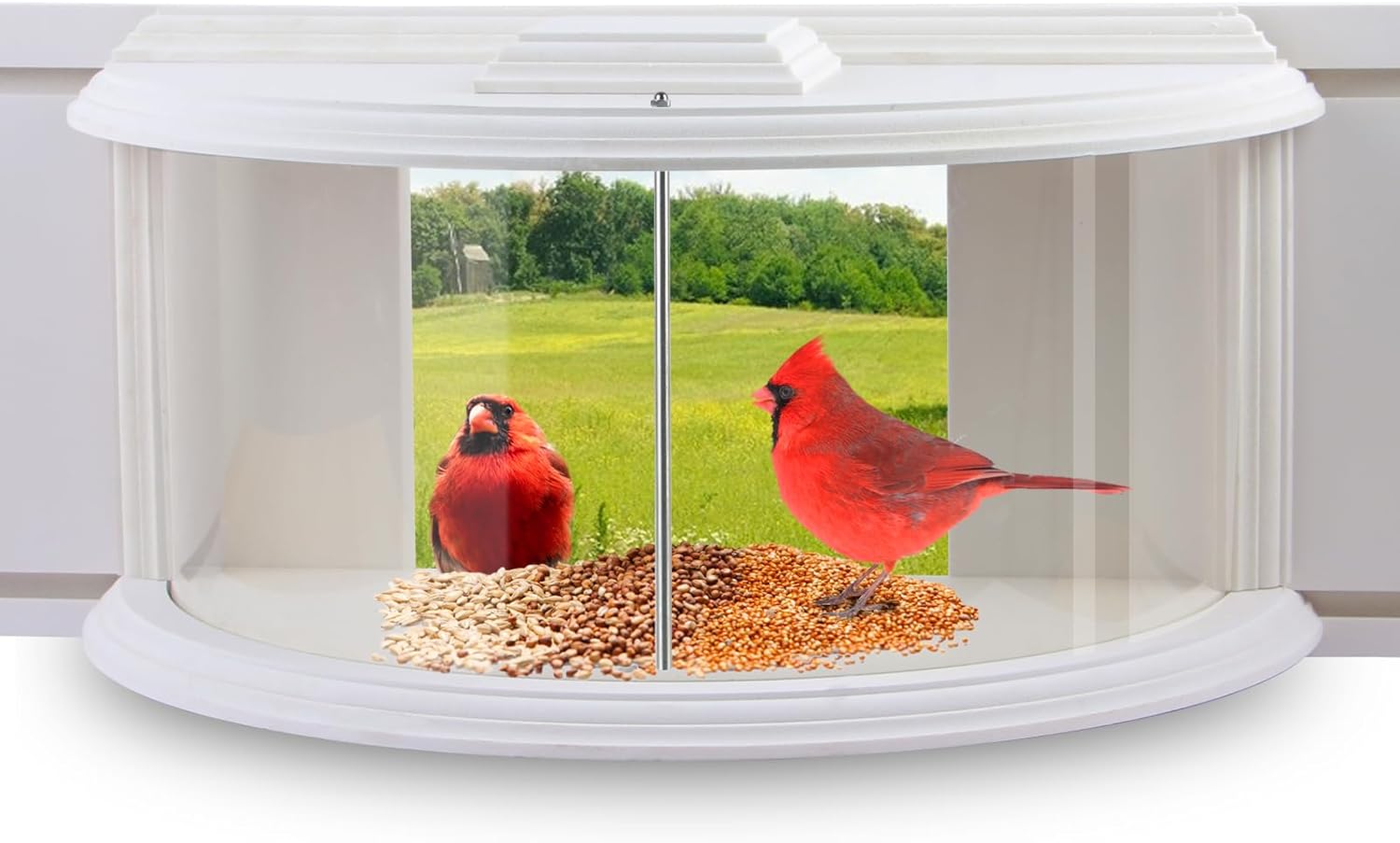 JOYSEUS Window Bird Feeder for Up-Close Bird Watching Experience