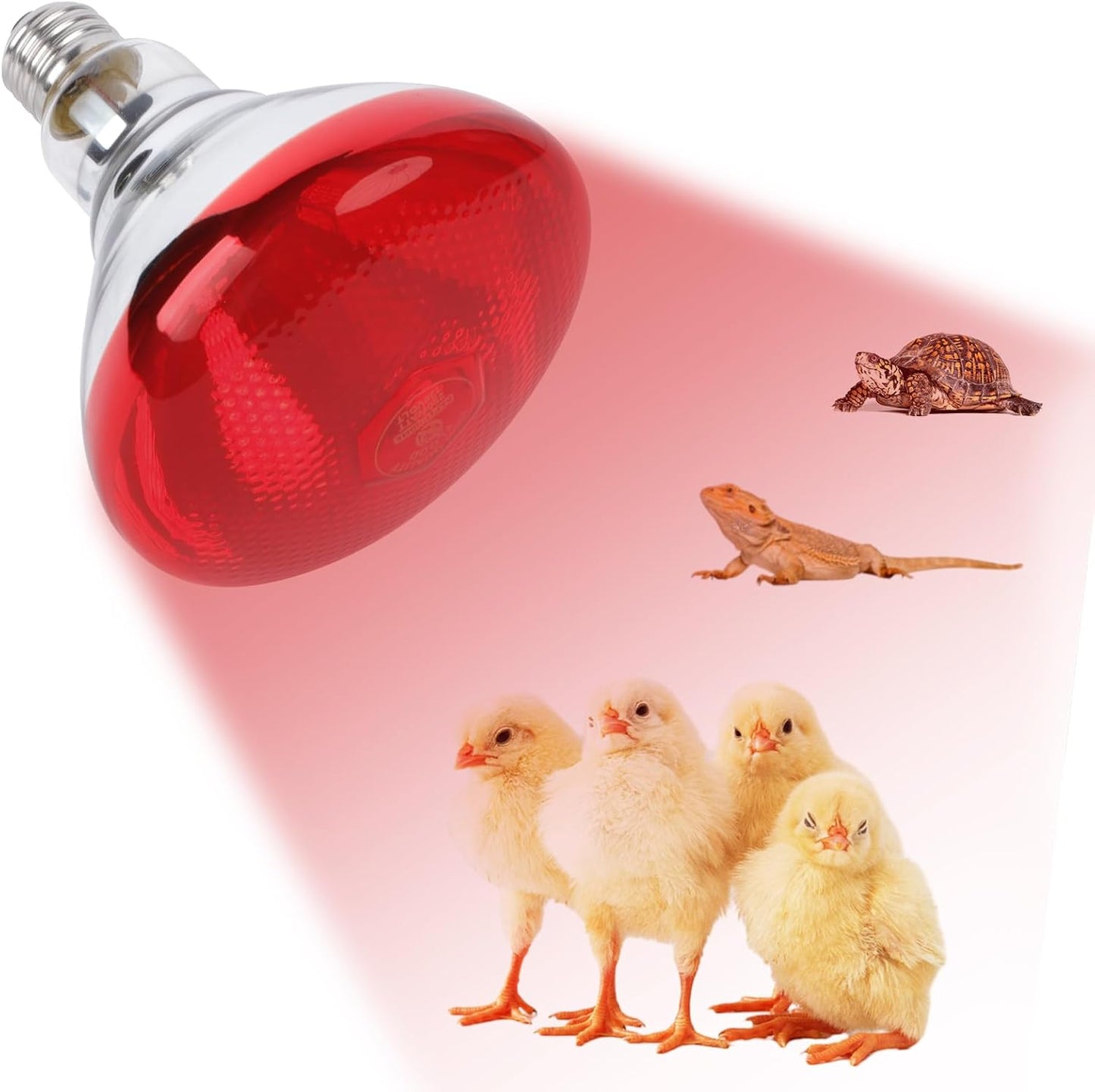 250W Red Heat Lamp Bulb for Pets & Reptiles