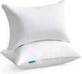 Oubonun 14 x 22 Pillow Inserts (Set of 2) - Plush Lumbar Support