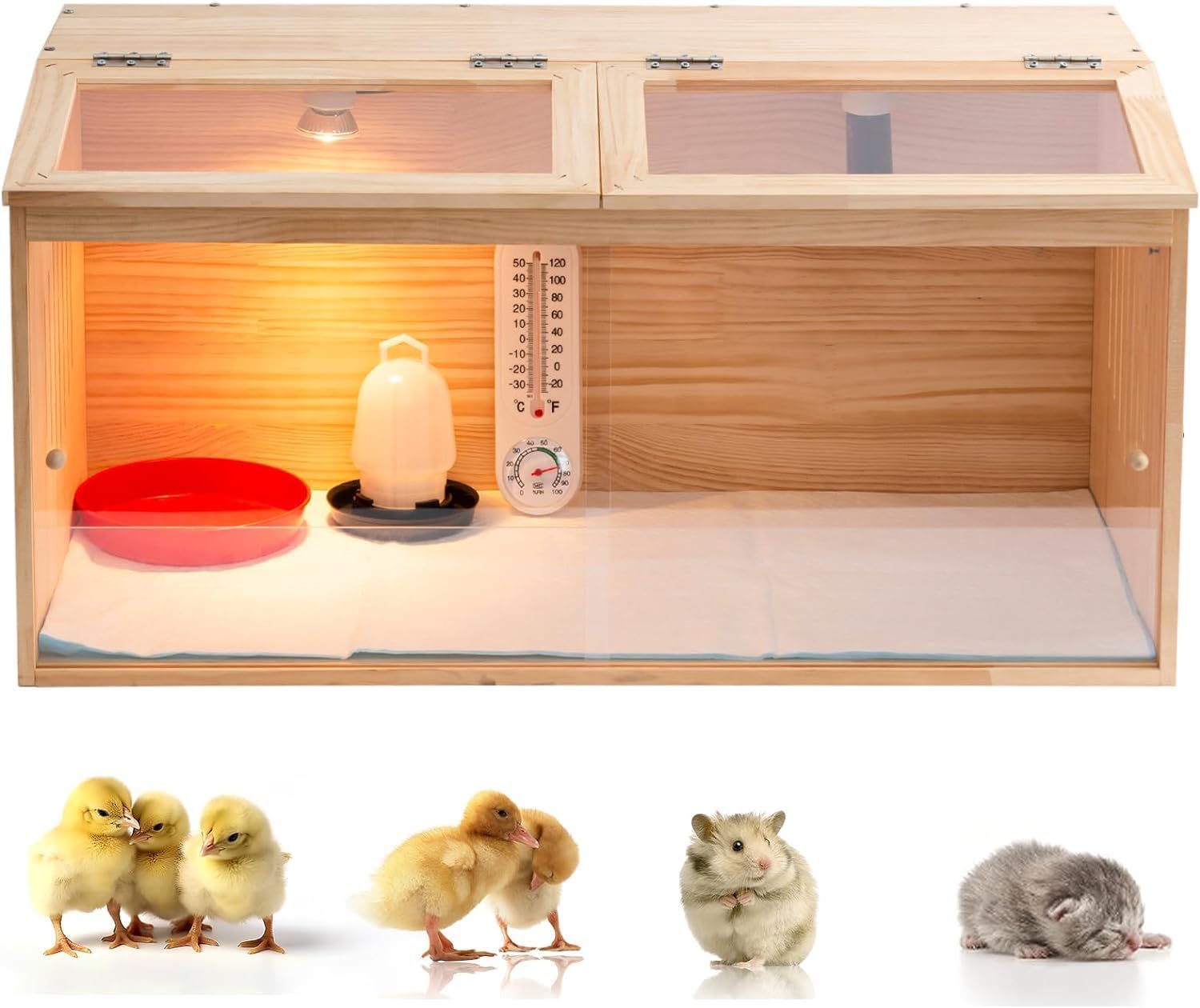 Spacious Indoor Brooder Box for 25 Chicks - Includes Thermometer & Bul ...