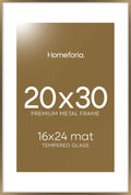 Homeforia 20x30 Picture Frame Bronze matted to 16x24 - Gallery Glass