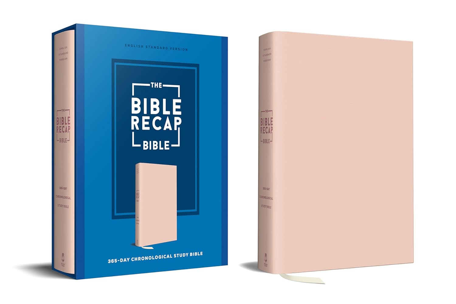 The Bible Recap 365-Day Chronological Study Bible for Daily Growth