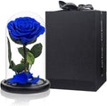 Preserved Roses Royal Blue Roses in Glass Dome, Medium - Lasting Gift